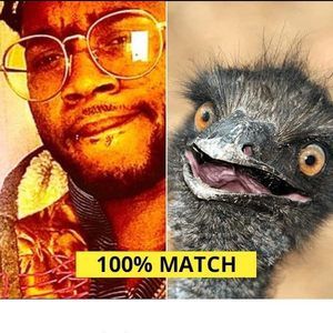 Meet your Posher, A.d.